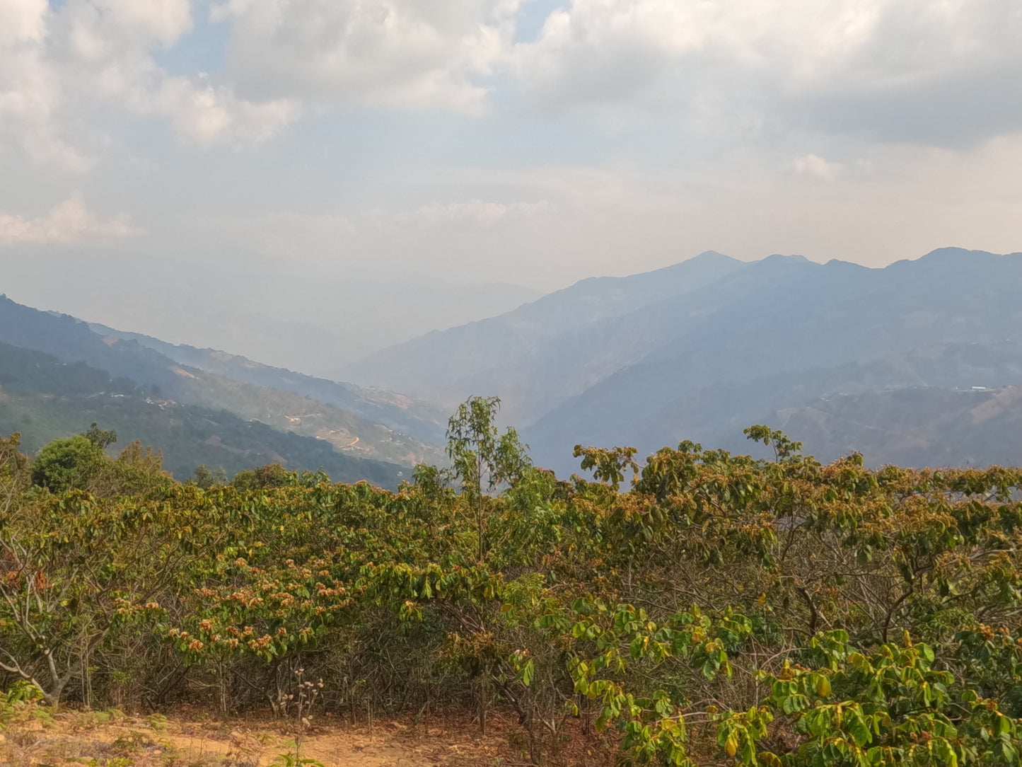 Corazon Oaxaca Mexico