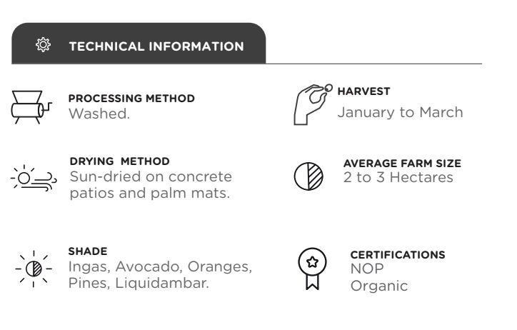 Milagro Oaxaca Mexico