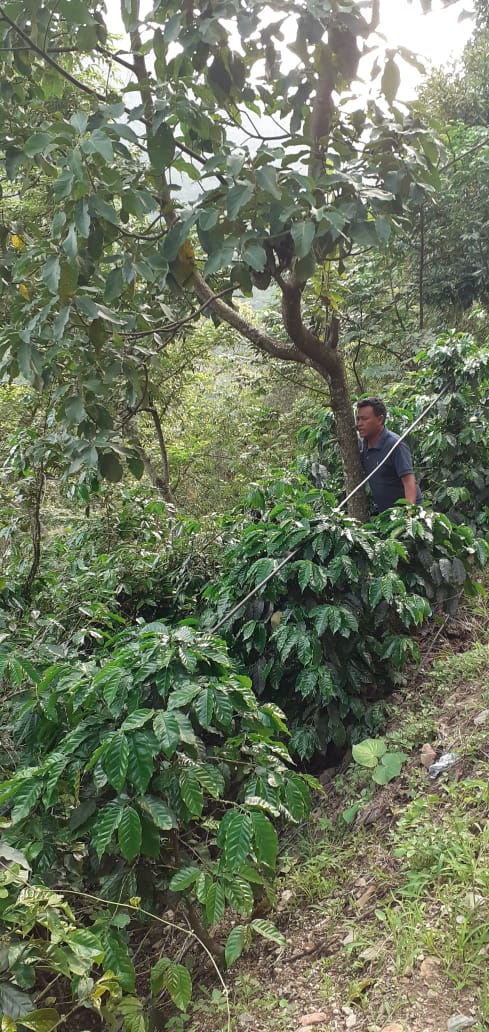 Herencia Chiapas Mexico